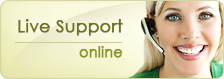 support online